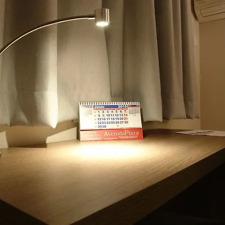 Avenida Plaza 3*